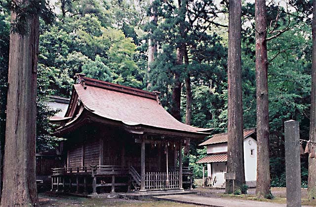 ムシ井神社