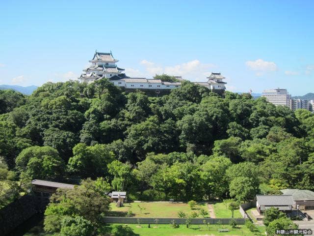 虎伏山にそびえる和歌山城