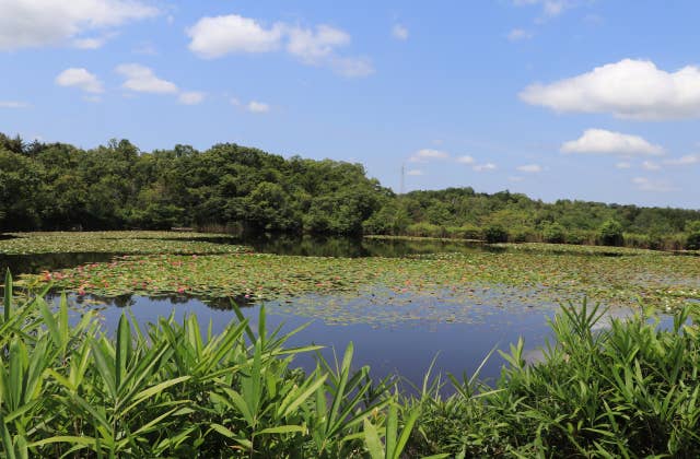 上野森林公園