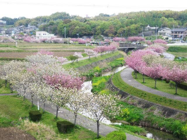 於大のみち