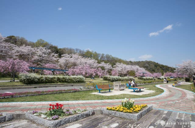 水源公園