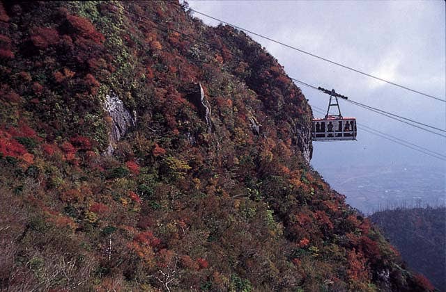 普賢岳の紅葉樹林