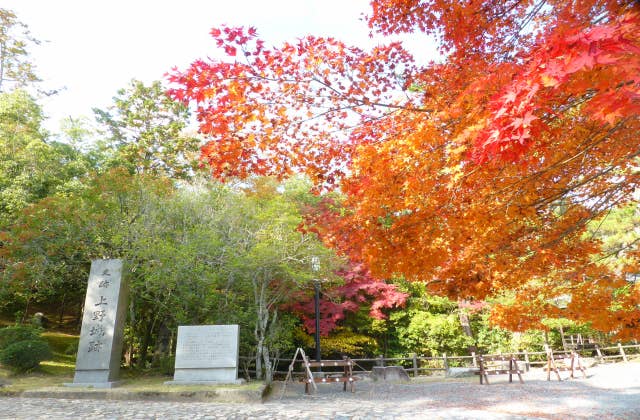 上野城跡