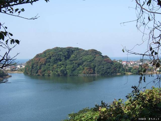 鹿島の森