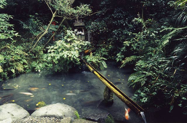 熊野の清水