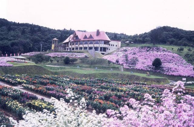 秋田国際ダリア園