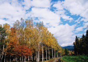 日和田高原