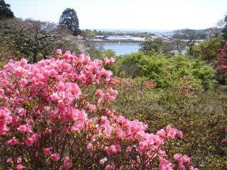 内原野公園