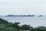松島湾