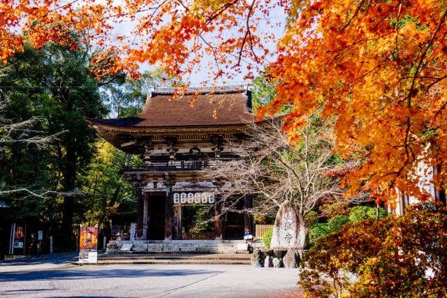 三井寺（園城寺）