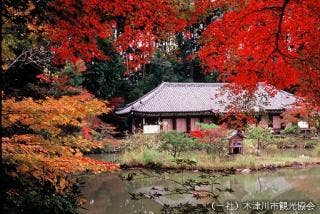 錦秋の浄瑠璃寺