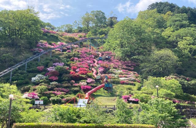 高取山公園ローラースライダーとツツジの花