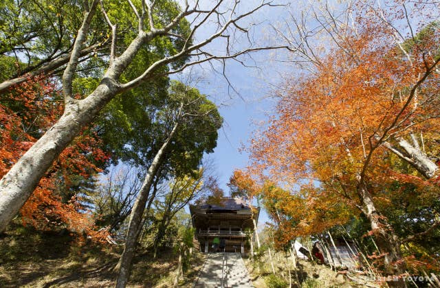 川見薬師寺