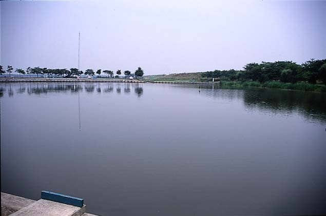 鳥羽井沼自然公園