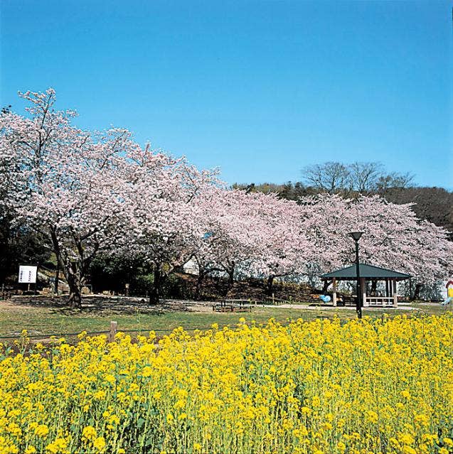 花島公園