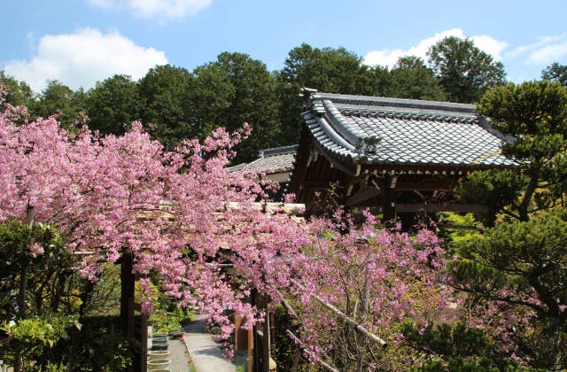 西應寺