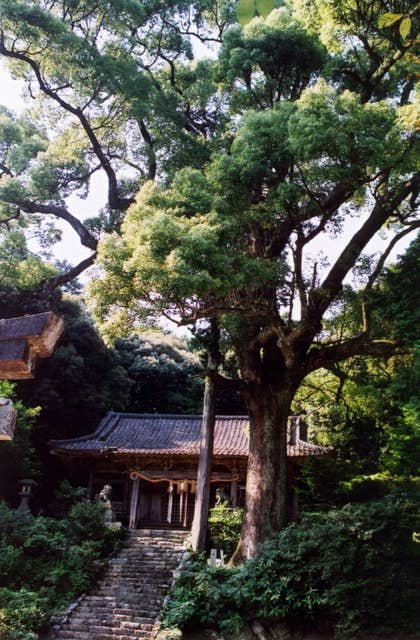 四阿屋神社