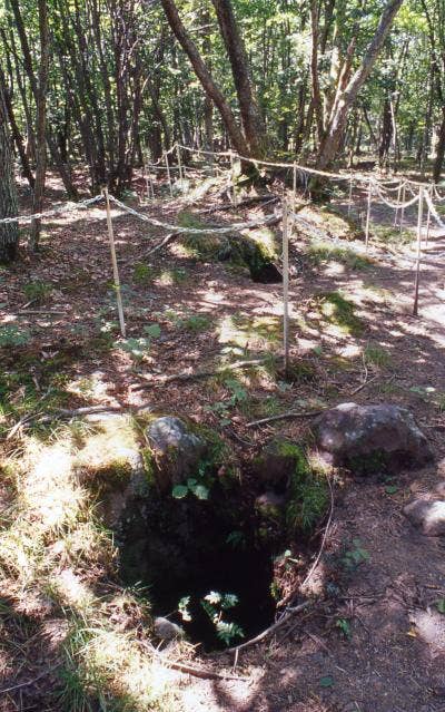 浅間山溶岩樹型群