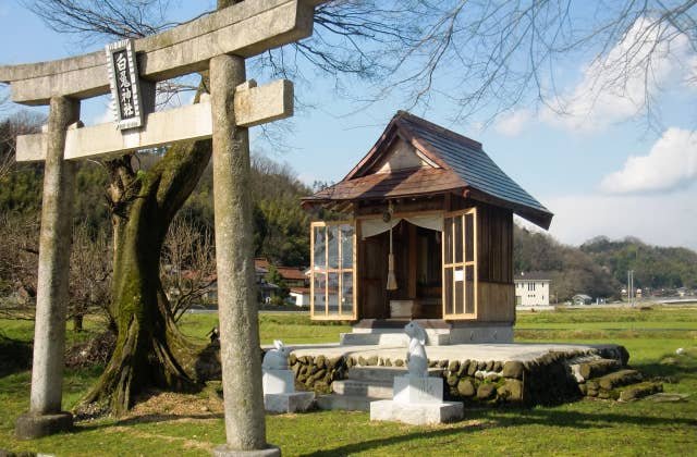 福本白兎神社