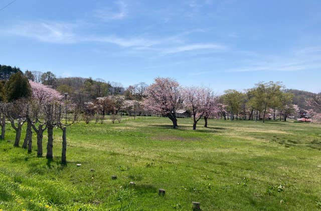 東雲公園