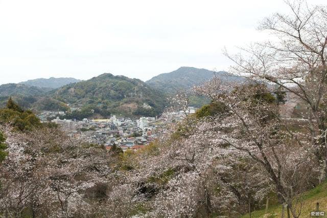 丸山公園