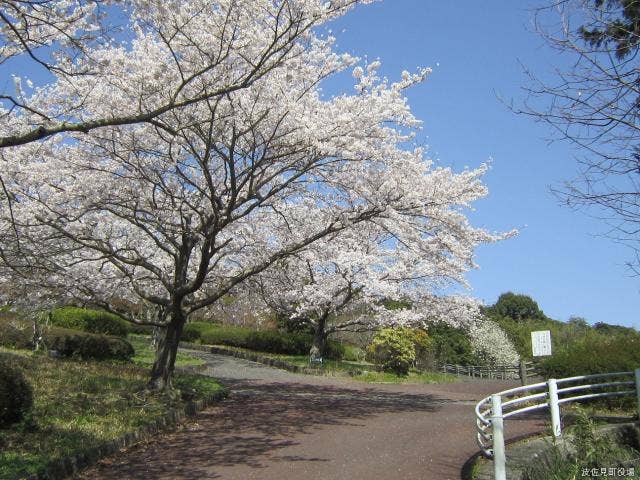 鴻ノ巣公園