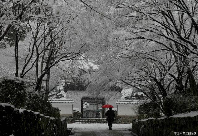 雪の琴坂