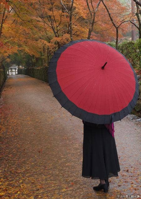 雨中の待ち人