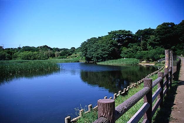 Komatsugaike Pond