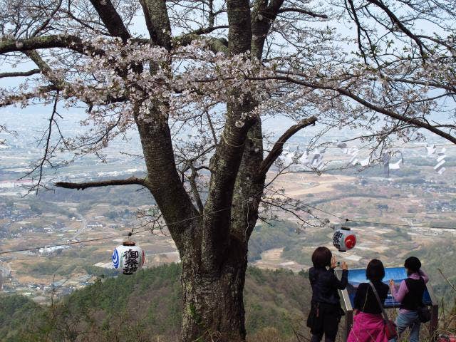 千本桜登山道頂上付近
