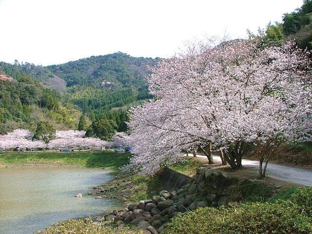 甲岩自然公園