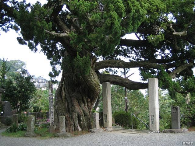 城願寺