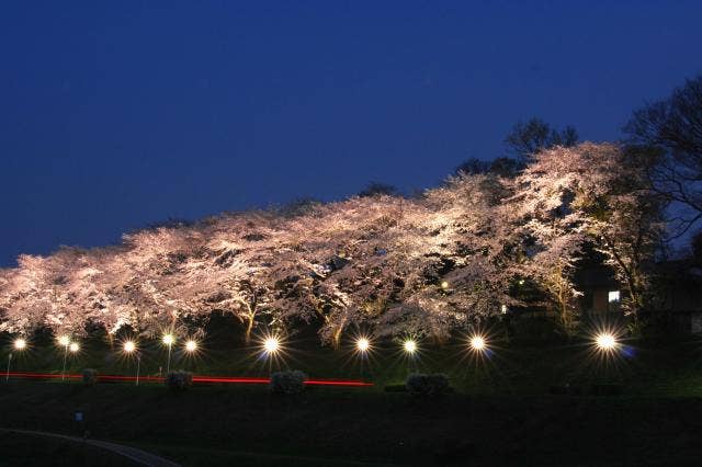 運河水辺公園（ライトアップ）