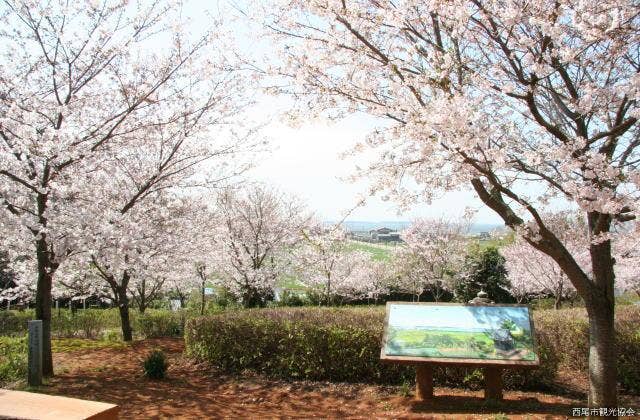 正法寺古墳公園