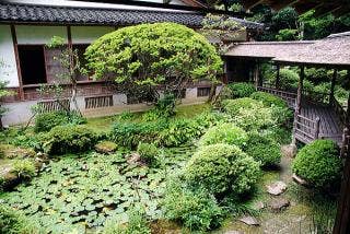 光久寺の茶庭