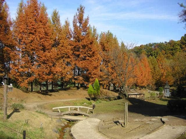 秋のあけぼの子どもの森公園
