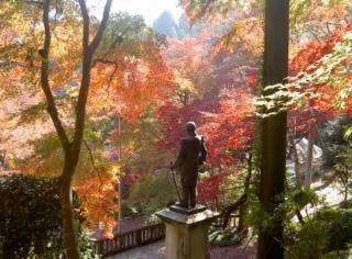 東郷元帥像と紅葉