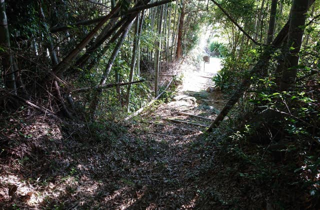 千畑古墳の登り道