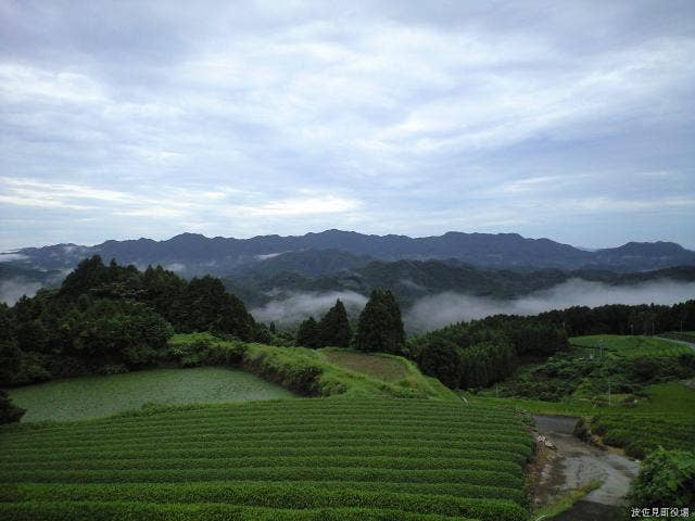 野々川雲海