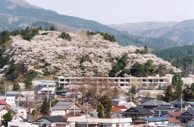 長沼城址