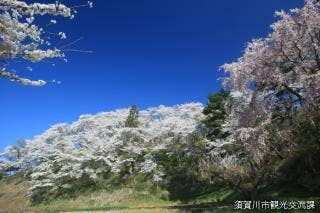 長沼城址