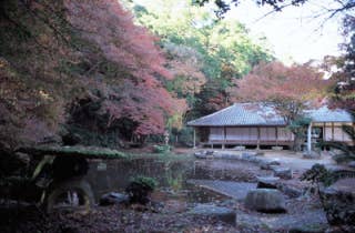 大照院