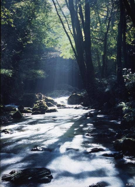 醒井峡谷