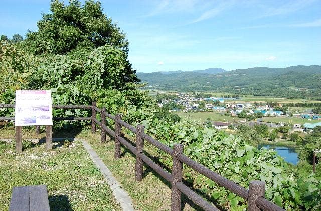 新山沼展望公園夏