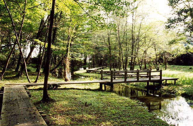 磯川緑地公園