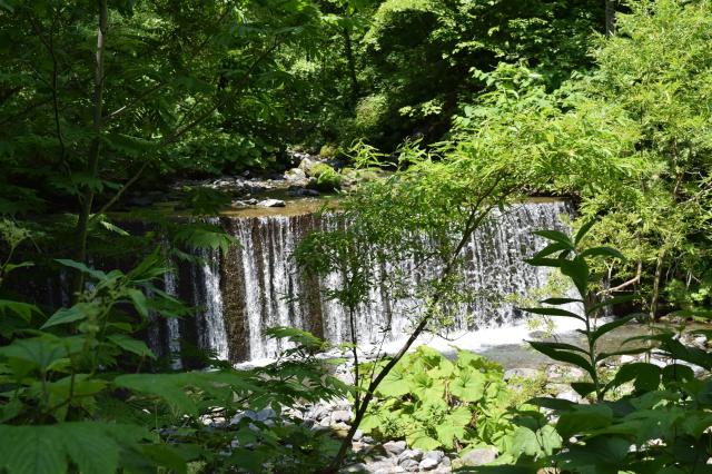 56323_ext_6_1.jpg?width=1920&