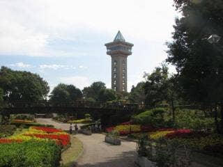 麻溝公園「花の谷」