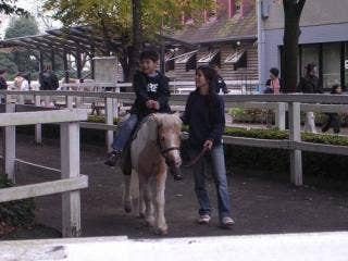 ふれあい動物広場ポニー乗馬