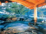 天然石や木々が美しく配置された日本庭園の野天風呂。