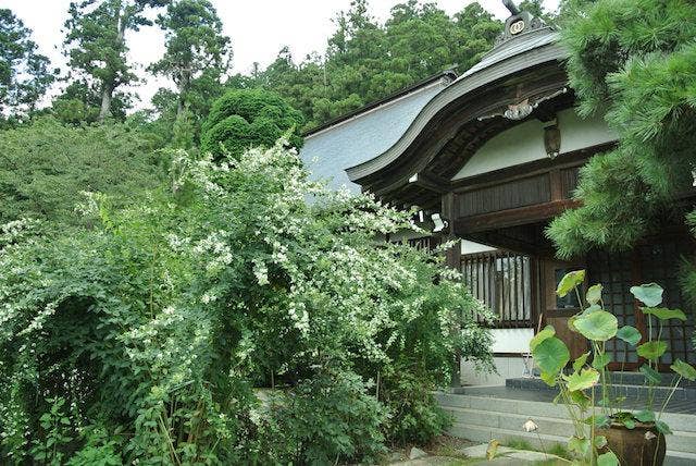 大悲願寺